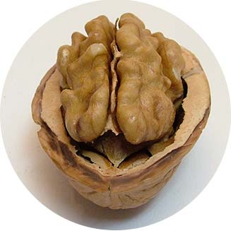 Vlašské ořechy